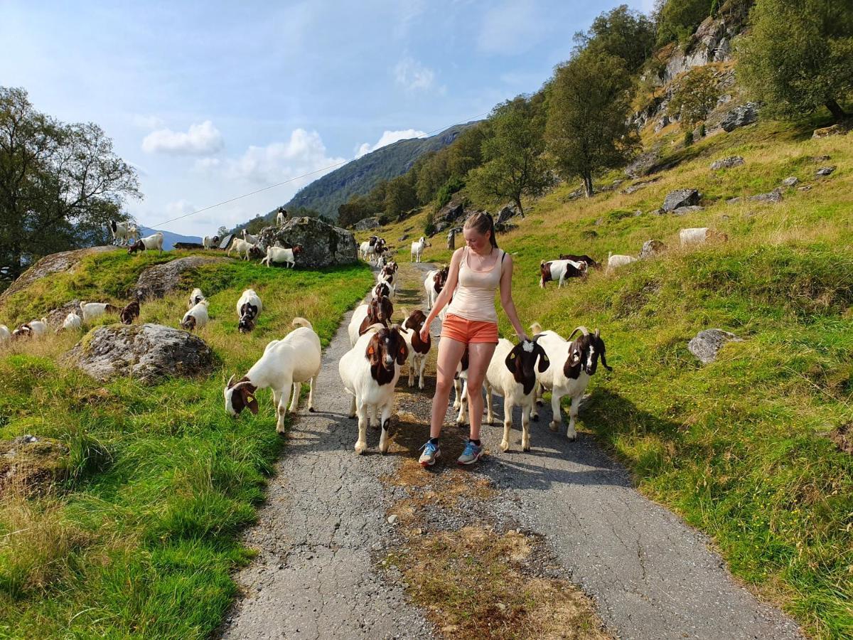 Hébergement de vacances Etne